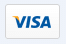 visa card payment